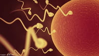 El donante de esperma con 100 hijos