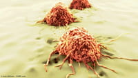 Proteína contra la evolución del cáncer