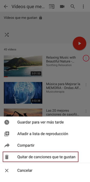 Ver videos que me han gustado en Youtube