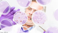 Enfermedad sexual resiste antibióticos