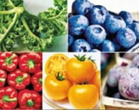 ¿Podrían los niveles crecientes de dióxido de carbono dejar a los alimentos sin ciertos nutrientes?