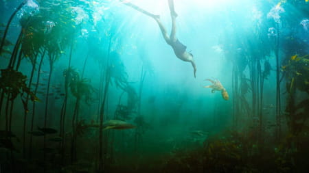 mejores documentales de Netflix