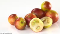 Fruto amazónico contra la grasa