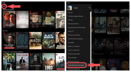 Netflix descargar contenido