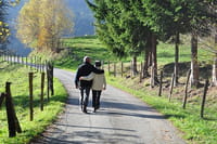 Caminar, ¿mejor que correr?