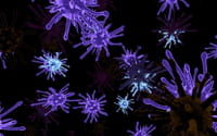 El virus de la hepatitis C podría ser un fármaco