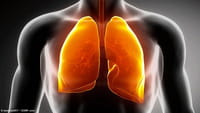 Promesas cubanas contra el cáncer en EE. UU.
