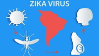 Aumentan las solicitudes de aborto por el virus zika