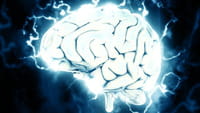 Chips en el cerebro para recordar mejor