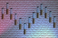 TDAH, ¿fruto transgeneracional de exposición prenatal a nicotina?