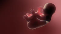 Nueva Ley del aborto en España