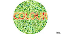 Inventan anteojos para