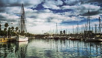 Instagram permitirá fotos rectangulares