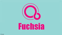 Así es Google Fuchsia