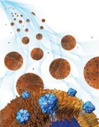 Nanoesponjas para neutralizar el ataque de una bacteria resistente a los antibióticos