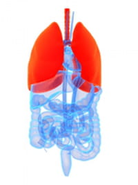Cáncer pulmonar estaría aumentando en no fumadores y en mujeres
