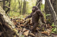 El sistema inmune: la gran herencia neandertal