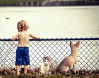 Por qué es bueno para un niño tener un perro
