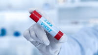 Primeras pruebas de la vacuna contra el Zika