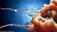 ¿Infertilidad por remedios antialergia?