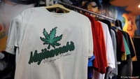 ¿Cuánto daña la marihuana al organismo humano?
