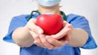 ¿Corazones de cerdo en humanos?