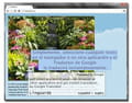 Descargar Linguarde (Traducción)