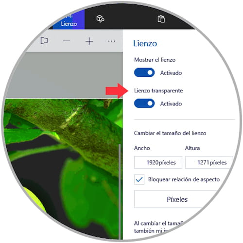 paint 3d transparent paint 3d transparent