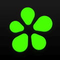 Icq new