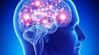 Tener los niveles de colesterol bajo control también resulta saludable para el cerebro