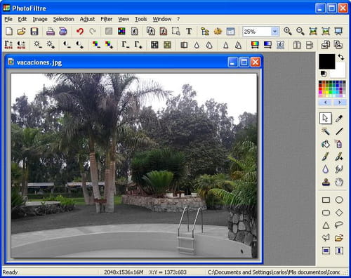 Convertir Imagen A Blanco Y Negro Paint