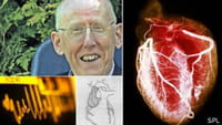 El ingeniero que se arregló su corazón y el de otros