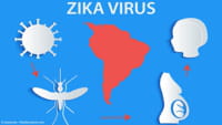 El Zika ya no es una emergencia global