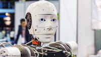 Robots negros discriminados por racismo
