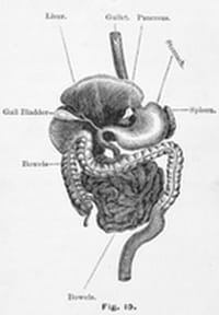 Expertos de todo el mundo en cáncer de páncreas abordan los retos en el tratamiento de esta enfermedad