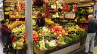 Los antioxidantes pueden propagar el cáncer