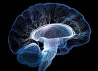 Nuevas aplicaciones detectan ataques de epilepsia y mejoran el tratamiento del ictus