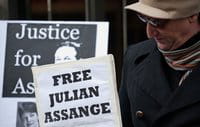Un manifestante pide la liberación de Julian Assange, fundador del portal de internet WikiLeaks Un manifestante pide la liberación de Julian Assange, fundador del portal de internet WikiLeaks