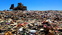 Una 'app' para reciclar basura en México