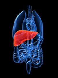 Curar la hepatitis C elimina el riesgo de padecer cirrosis