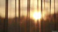 ¿En qué momento nos acostumbramos a dormir con luz?