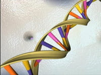 Los científicos crean el primer organismo vivo a partir de ADN artificial
