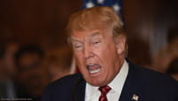 Ganar dinero con los tuits de Trump