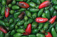 ¿Puede el picante eliminar células cancerígenas?
