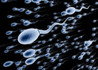 El semen es el protector del virus VIH