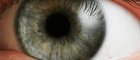 Crean un nuevo dispositivo para tratar el desprendimiento de retina