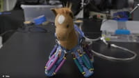 Una 'piel' que convierte objetos en robots