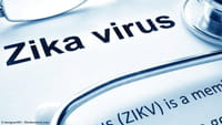 Pérdidas millonarias en Latinoamérica por el zika