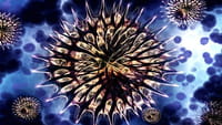 Hallado el antibiótico del futuro en una bacteria humana