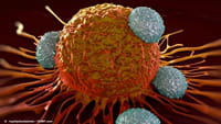 Un fármaco que retrasa el desarrollo del cáncer de páncreas